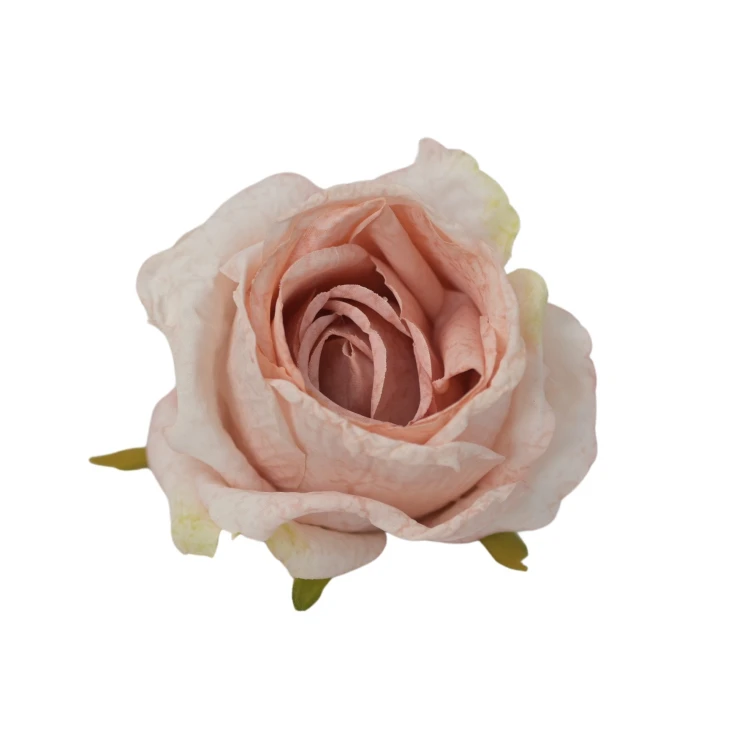 Róża 8 cm