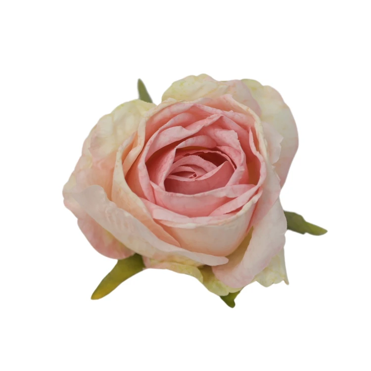 Róża 8 cm