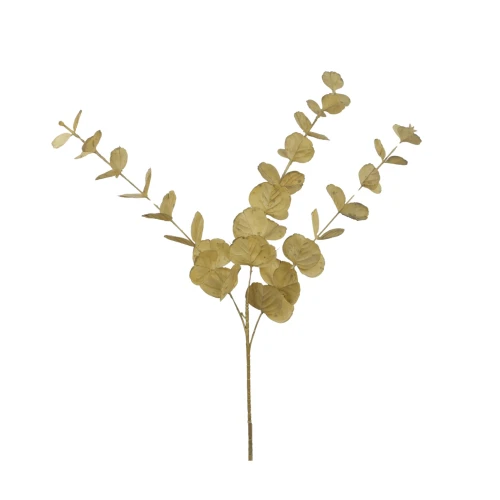 Eukaliptus 90 cm