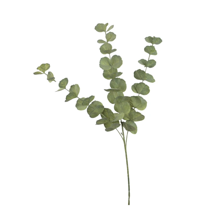 Eukaliptus 90 cm