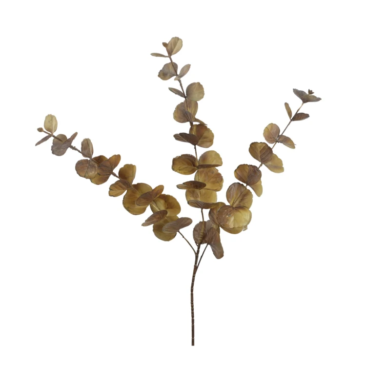 Eukaliptus 90 cm