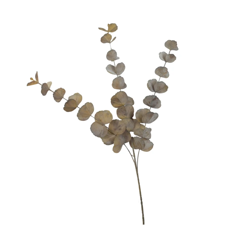 Eukaliptus 90 cm