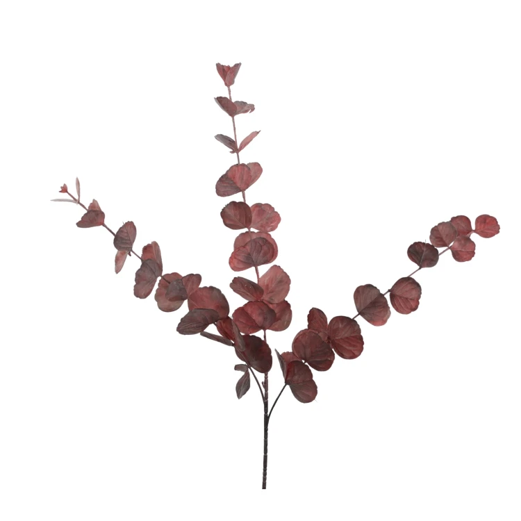Eukaliptus 90 cm