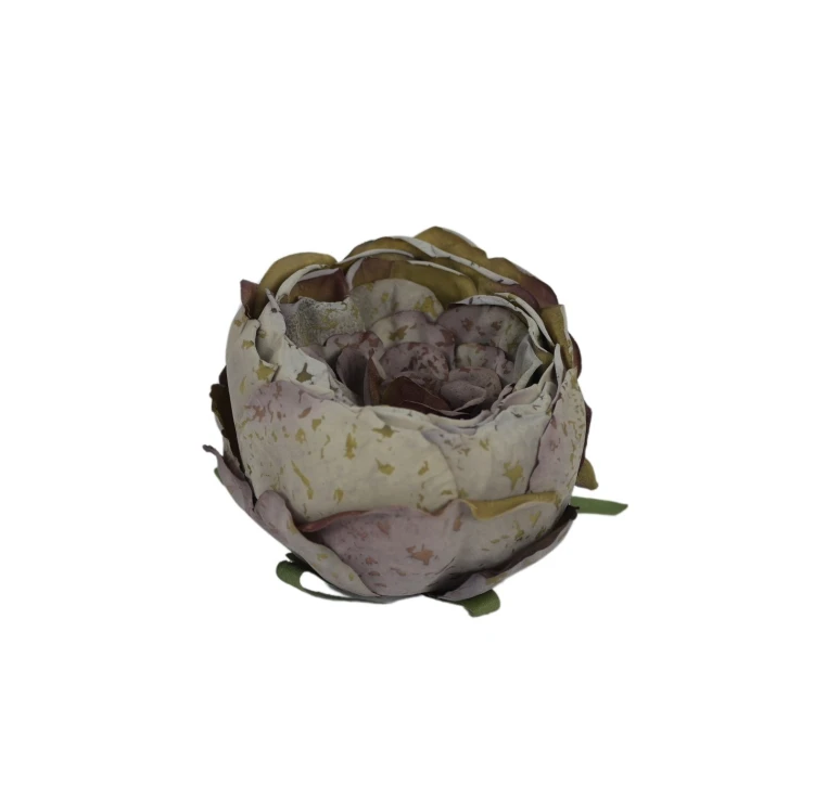 Piwonia 9 cm