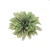 Dalia 19 cm