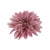 Dalia 19 cm