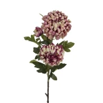 Sztuczna chryzantema okrągła w kolorze różowo/białym 95 cm