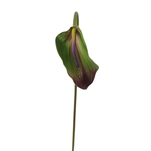 Sztuczne gumowe anturium w kolorze zielono/fioletowym 70 cm
