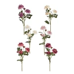 Karton mix 1 dalii mix kolorów 55 cm