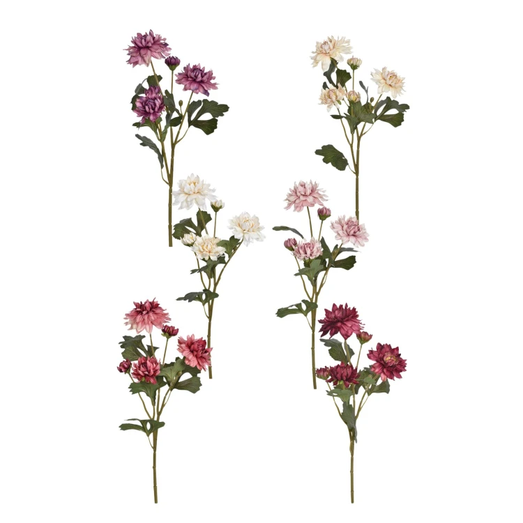 Karton mix 1 dalii mix kolorów 55 cm