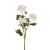 Dalia 55 cm