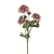 Dalia 55 cm