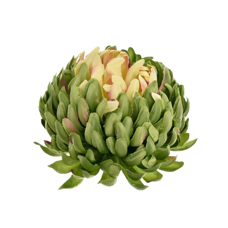 Sztuczna chryzantema czesana w kolorze zielono/brzoskwiniowym 14 cm
