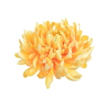 Sztuczna chryzantema strzępiasta w kolorze żółtym 16 cm