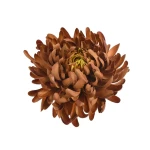 Sztuczna chryzantema strzępiasta w kolorze brązowym 16 cm