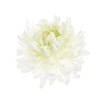 Sztuczna chryzantema strzępiasta w kolorze biało/zielonym 16 cm