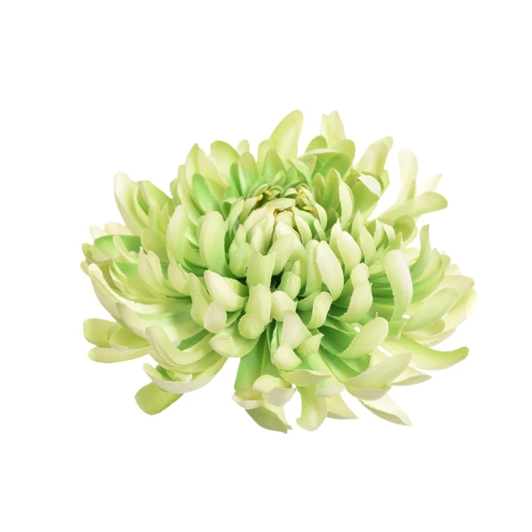 Sztuczna chryzantema strzępiasta w kolorze zielonym 16 cm