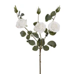 Sztuczna róża suszona x3 w kolorze białym 63 cm