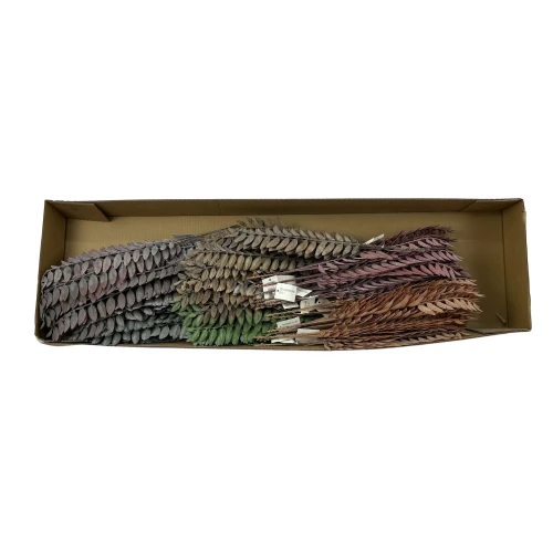 Karton paprotki, mix kolorów 48 cm