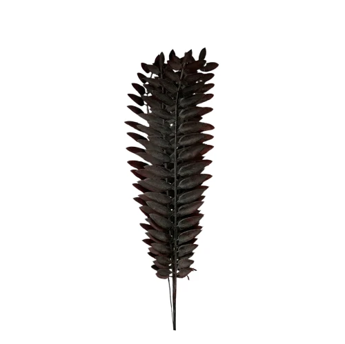 Paprotka 48 cm