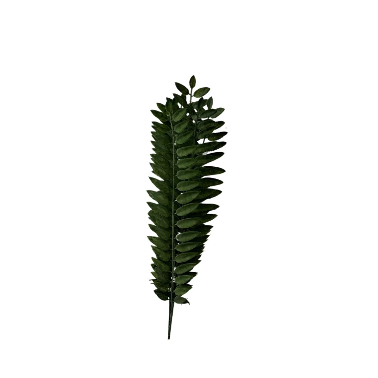Paprotka 48 cm