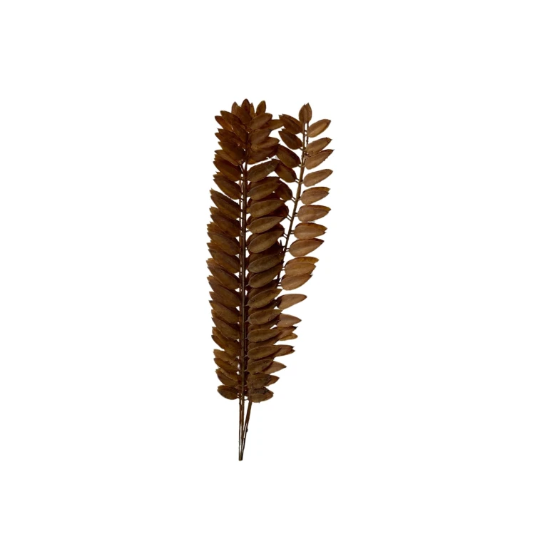 Paprotka 48 cm