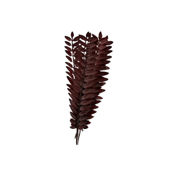 Paprotka 48 cm