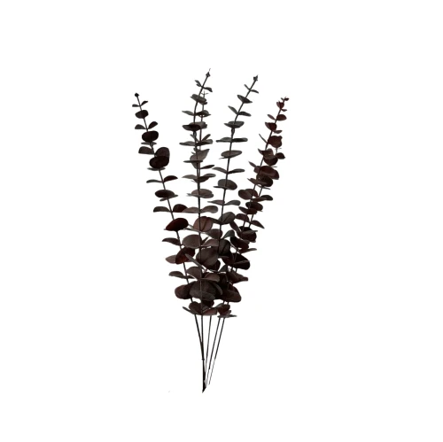 Eukaliptus 68 cm