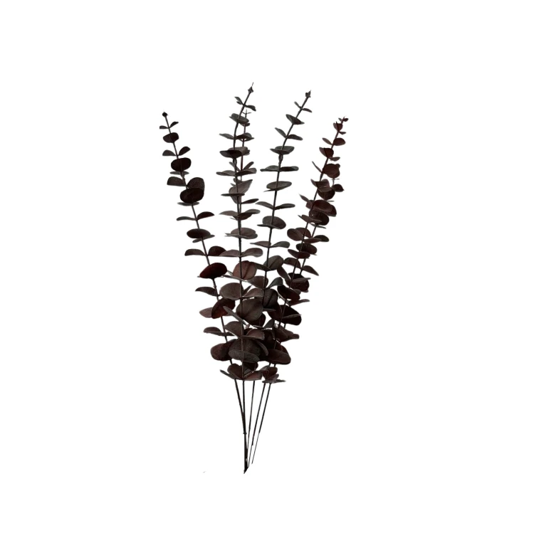Eukaliptus 68 cm