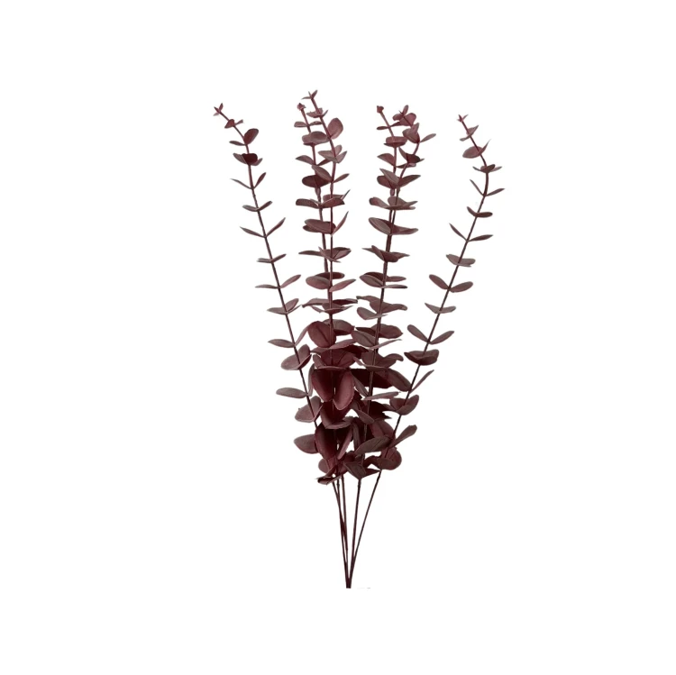 Eukaliptus 68 cm