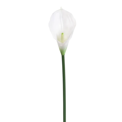 Sztuczny kwiat kalii gumowy w kolorze białym 70 cm