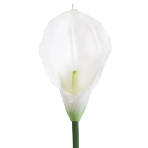 Sztuczny kwiat kalii gumowy w kolorze białym 70 cm