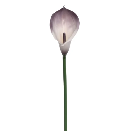 Sztuczny kwiat kalii gumowy w kolorze kremowo/brudnym fioletowym 70 cm