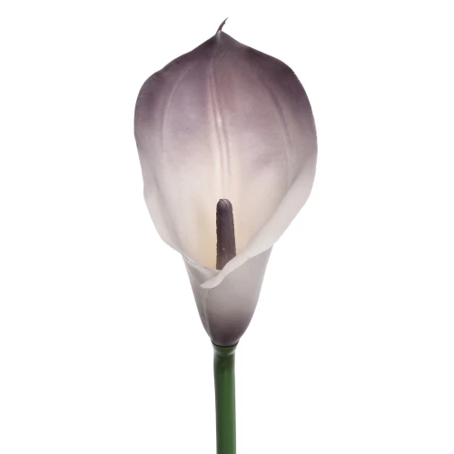 Sztuczny kwiat kalii gumowy w kolorze kremowo/brudnym fioletowym 70 cm
