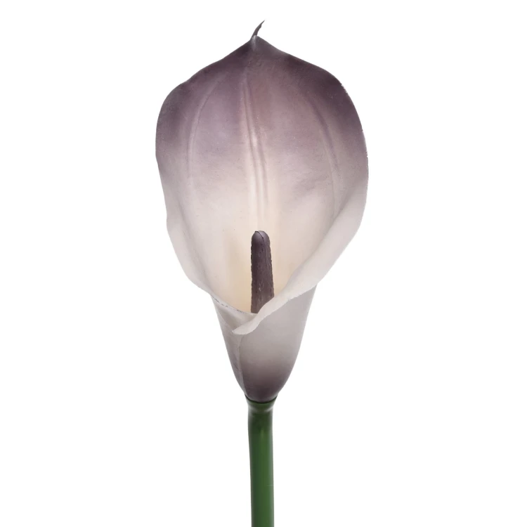 Sztuczny kwiat kalii gumowy w kolorze kremowo/brudnym fioletowym 70 cm