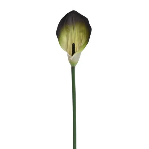 Sztuczny kwiat kalii gumowy w kolorze zielono/czarnym 70 cm