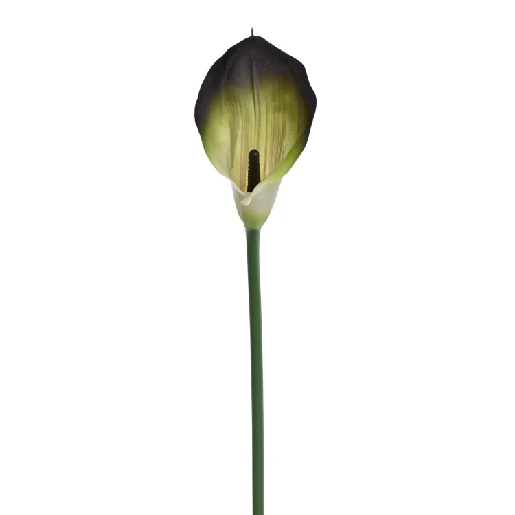 Sztuczny kwiat kalii gumowy w kolorze zielono/czarnym 70 cm