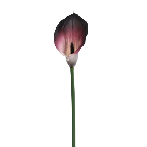 Sztuczny kwiat kalii gumowy w kolorze śliwkowym 70 cm