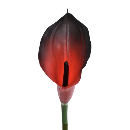 Sztuczny kwiat kalii gumowy w kolorze podpalanej czerwieni 70 cm