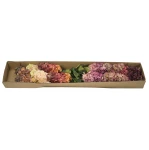 Karton hortensji bukietowej mix kolorów 94 cm
