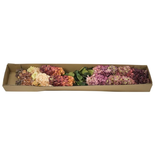 Karton hortensji bukietowej mix kolorów 94 cm