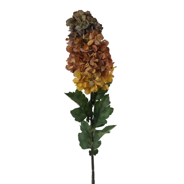 Hortensja bukietowa 94 cm