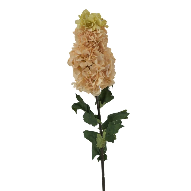 Hortensja bukietowa 94 cm
