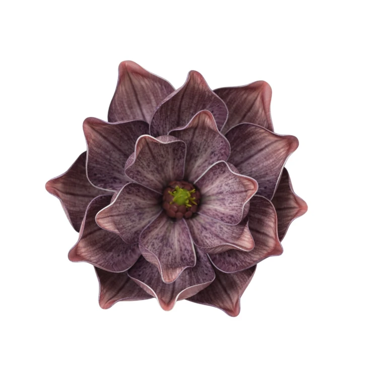 Sztuczna gumowa magnolia w kolorze brązowo/fioletowym 18 cm