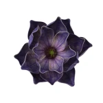 Sztuczna gumowa magnolia w kolorze atramentowym 18 cm