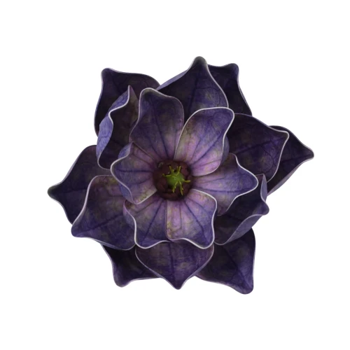 Sztuczna gumowa magnolia w kolorze atramentowym 18 cm
