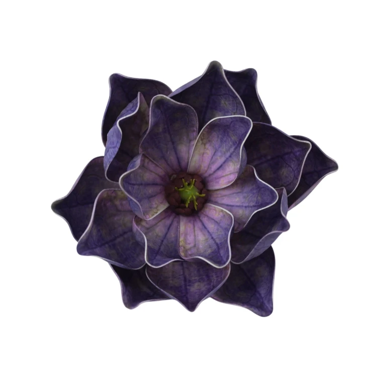 Sztuczna gumowa magnolia w kolorze atramentowym 18 cm