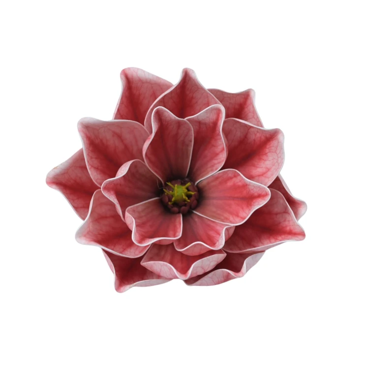 Sztuczna gumowa magnolia w kolorze czerwono/różowym 18 cm