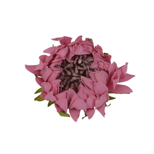 Sztuczna głowa protei w kolorze różowym 12 cm