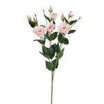 Sztuczna eustoma w kolorze kremowo/różowym 80 cm